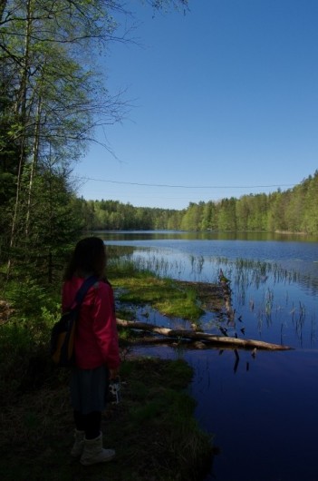 フィンランド　ヘルシンキ　ヌークシオ国立公園
