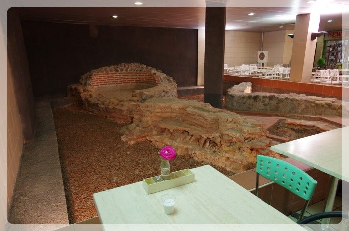 ブルガリア　ソフィア　セントラル・ハリ