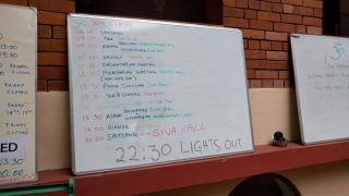 インド　ニアルダム　シバナンダヨガアシュラム　スケジュール